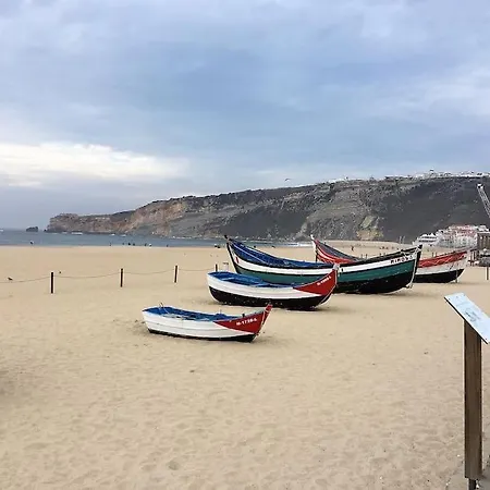 Ferienhaus Met Het Rustige Salgado Op Wandelafstand